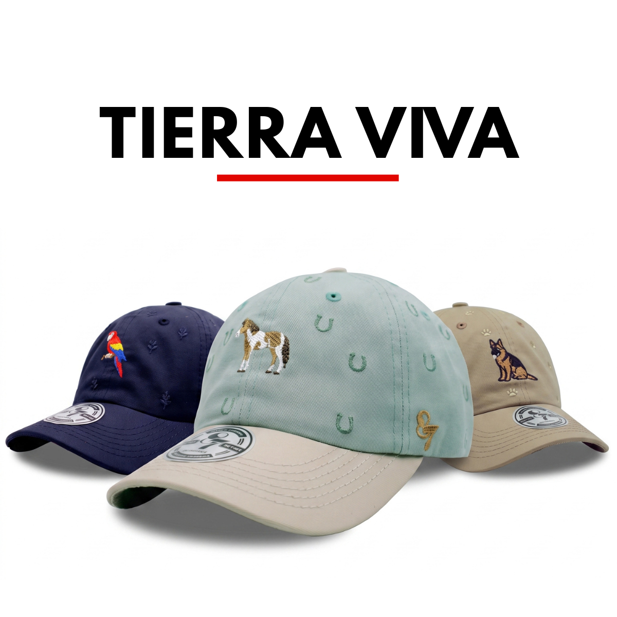 GORRAS CURVAS TIERRA VIVA