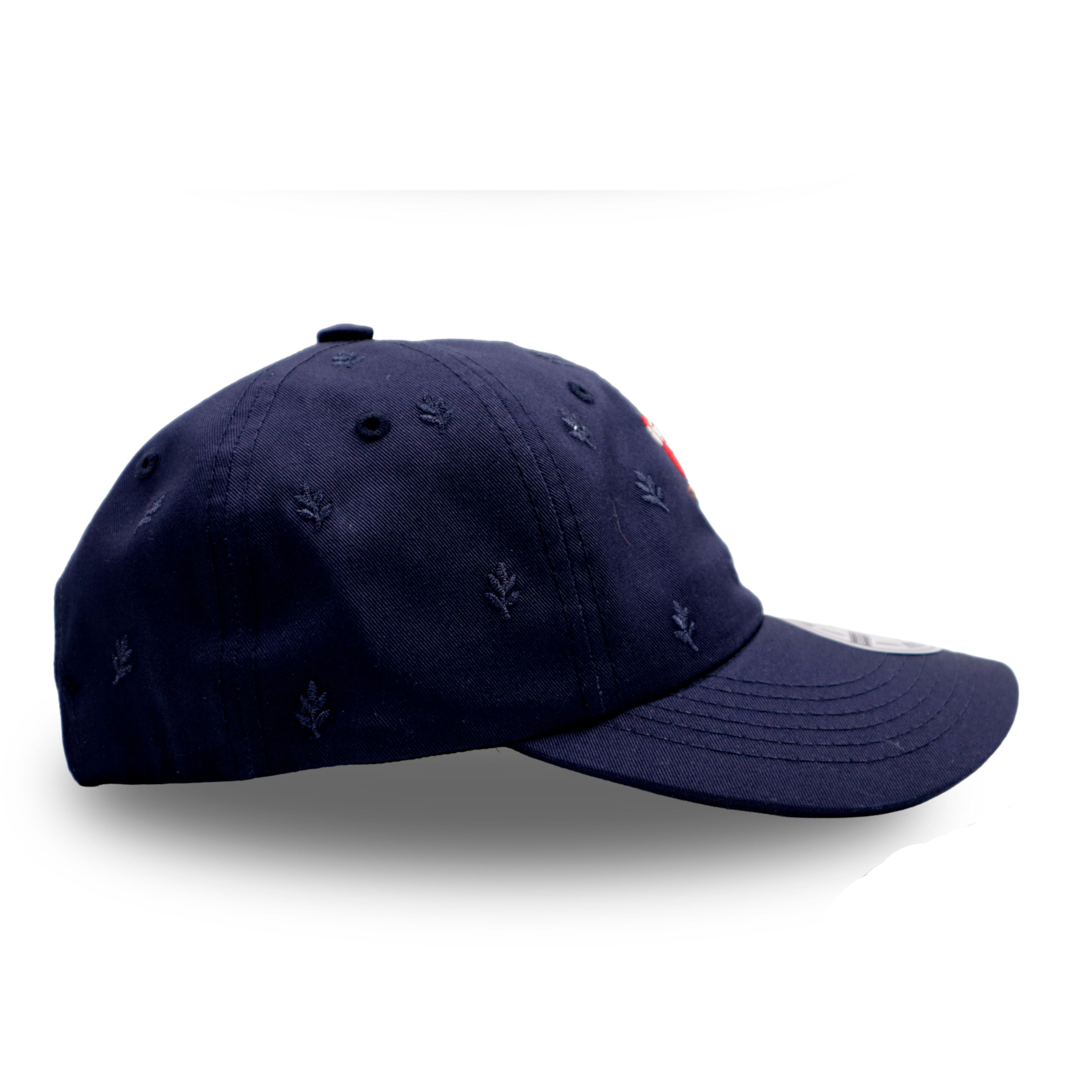 GORRA GUACAMAYA AZUL OSCURO