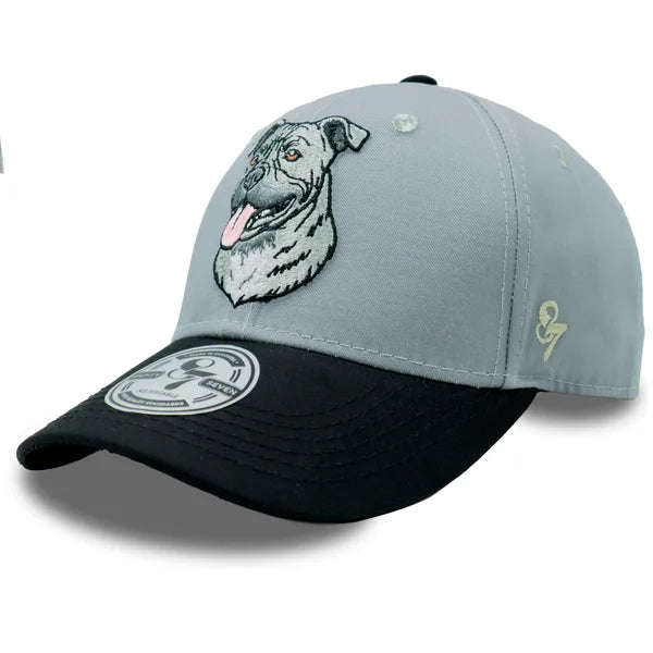 GORRA PITBULL GRIS