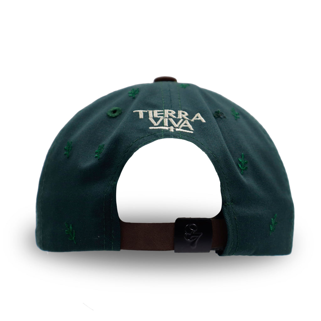 GORRA BUHO VERDE BOTELLA